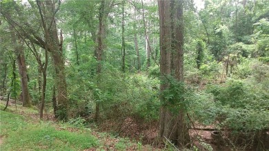 Wooded lot right by Lake Hartwell and convenent to boat ramp - Lake Lot For Sale in Townville, South Carolina