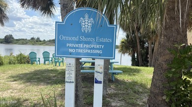 Ormond By the Sea pool home on a rare HUGE lot with BOTH private - photo 34