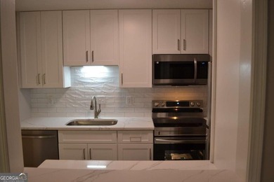 Gorgeous, professionally renovated Woodridge condo located in - photo 43