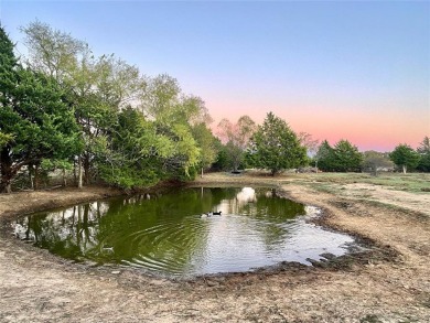 Lake Acreage For Sale in Gainesville, Texas