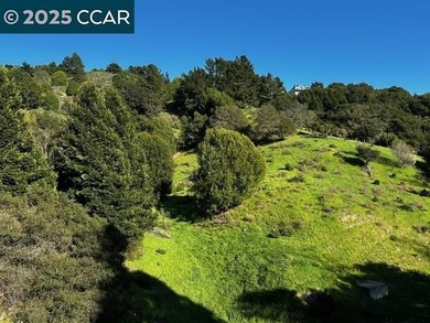 Panoramic Views! 3 consecutive lots. Views of San Francisco Bay - photo 3