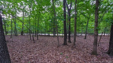 Build your dream home on this premium, exceptionally level lot - photo 3