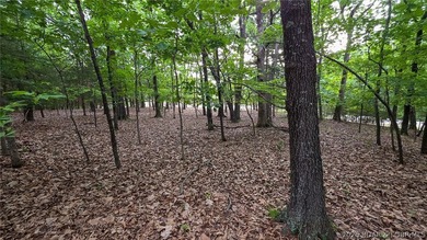 Build your dream home on this premium, exceptionally level lot - photo 4