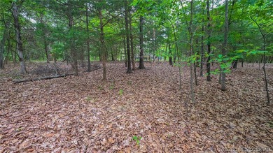 Build your dream home on this premium, exceptionally level lot - photo 5