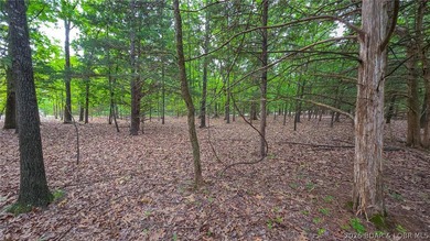 Build your dream home on this premium, exceptionally level lot - photo 6