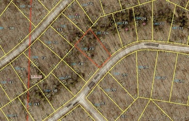 Build your dream home on this premium, exceptionally level lot - photo 8