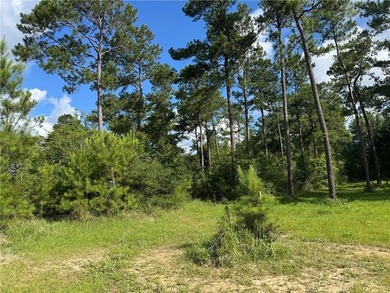 Beautiful, 1 acre, waterfront and wooded lot in the Bluffs at - photo 1