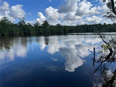 Beautiful, 1 acre, waterfront and wooded lot in the Bluffs at - photo 4