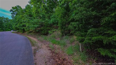Embrace the elevation and build your dream lake-view retreat on - photo 1