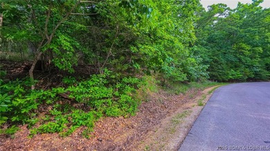 Embrace the elevation and build your dream lake-view retreat on - photo 2