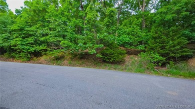 Embrace the elevation and build your dream lake-view retreat on - photo 3