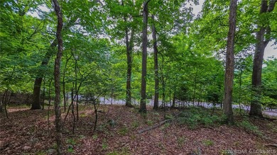 Embrace the elevation and build your dream lake-view retreat on - photo 4