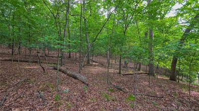 Embrace the elevation and build your dream lake-view retreat on - photo 5