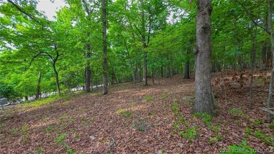 Embrace the elevation and build your dream lake-view retreat on - photo 6