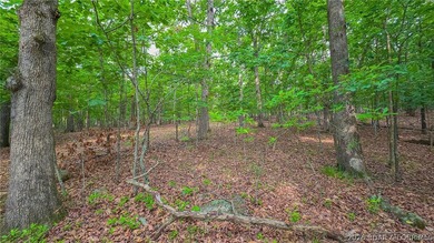 Embrace the elevation and build your dream lake-view retreat on - photo 7