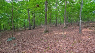 Embrace the elevation and build your dream lake-view retreat on - photo 8