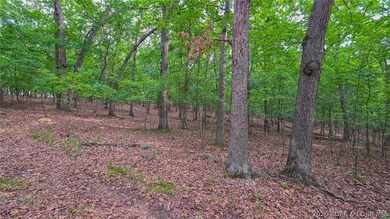 Embrace the elevation and build your dream lake-view retreat on - photo 9