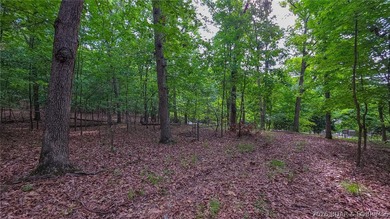 Embrace the elevation and build your dream lake-view retreat on - photo 10