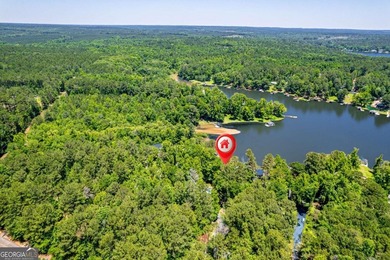 Awesome Lake Sinclair home in one of the best locations on the - photo 42