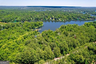Awesome Lake Sinclair home in one of the best locations on the - photo 45