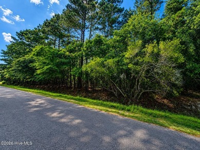 Build your dream home on this spacious nearly half acre homesite - photo 1