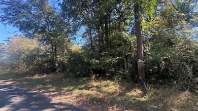 Lake Lot For Sale in Eustace, Texas