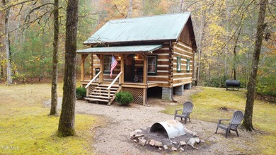 Lake Home For Sale in Greeneville, Tennessee