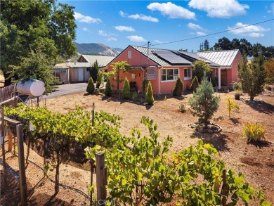 Clear Lake Home Sale Pending in Upper Lake California