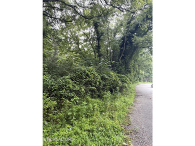 Interstate 40 Commercial Development Site | Exit 352 | 3.81 - photo 4