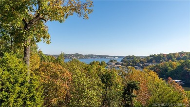 Walk-in, no steps, attached garage, lake views, and very low - photo 5