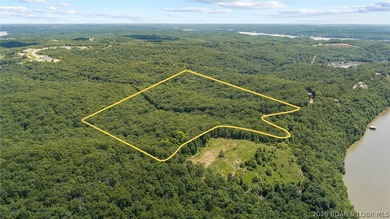Two adjoining parcels totaling approximately 72 +/- wooded acres - photo 2