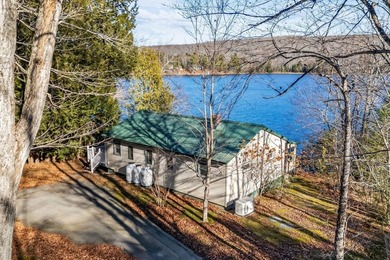 Your Year-Round Lakefront Retreat on Beautiful Springy - photo 2