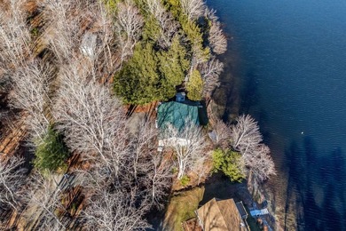 Your Year-Round Lakefront Retreat on Beautiful Springy - photo 3