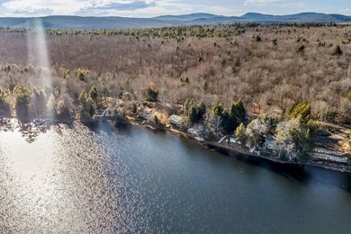 Your Year-Round Lakefront Retreat on Beautiful Springy - photo 6