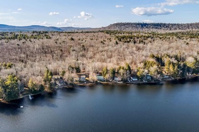 Your Year-Round Lakefront Retreat on Beautiful Springy - photo 7