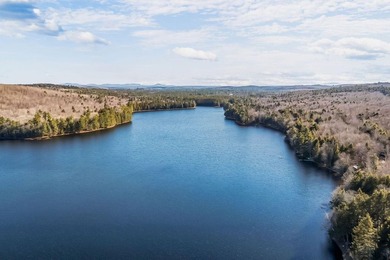 Your Year-Round Lakefront Retreat on Beautiful Springy - photo 8