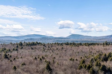 Your Year-Round Lakefront Retreat on Beautiful Springy - photo 9