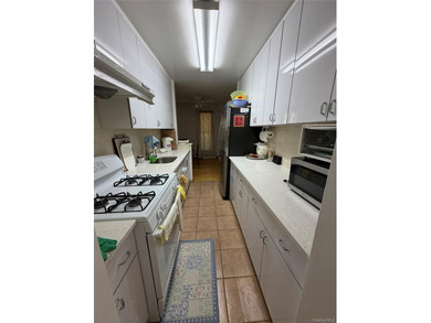 huge 1115 sq ft condo in Flushing, 2 bedroom and 2 full baths - photo 1
