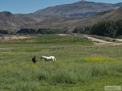 Homestead 6 offers 14.48 acres of prime Idaho acreage just 5 - photo 2