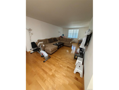 huge 1115 sq ft condo in Flushing, 2 bedroom and 2 full baths - photo 4