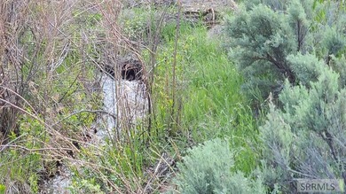 Homestead 6 offers 14.48 acres of prime Idaho acreage just 5 - photo 5