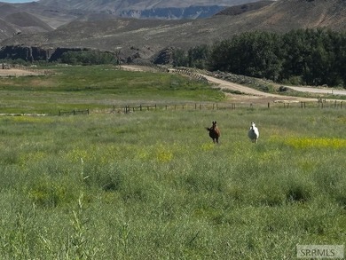 Homestead 6 offers 14.48 acres of prime Idaho acreage just 5 - photo 8