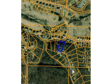 Bring your tools and big toys and own a 1.17 (+/-) acre lot in - photo 9