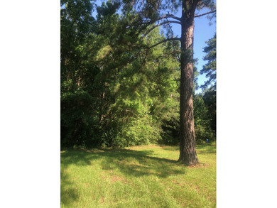 Toledo Bend Reservoir Acreage For Sale in Many Louisiana