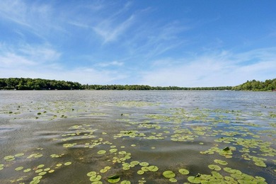 Discover a rare opportunity to own nearly an acre on Lake Julia - photo 34