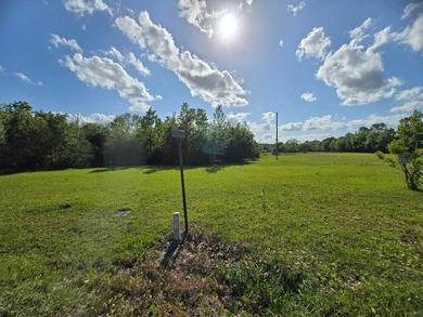 READY TO TO BUILD YOUR DREAM HOME?! THIS 4.319+/- ACRE LAND - photo 2