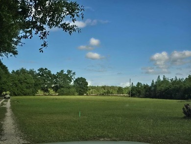 READY TO TO BUILD YOUR DREAM HOME?! THIS 4.319+/- ACRE LAND - photo 3