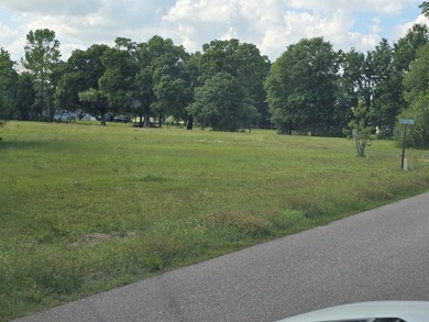 READY TO TO BUILD YOUR DREAM HOME?! THIS 4.319+/- ACRE LAND - photo 5