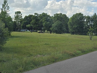 READY TO TO BUILD YOUR DREAM HOME?! THIS 4.319+/- ACRE LAND - photo 6