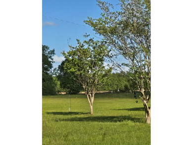 READY TO TO BUILD YOUR DREAM HOME?! THIS 4.319+/- ACRE LAND - photo 10